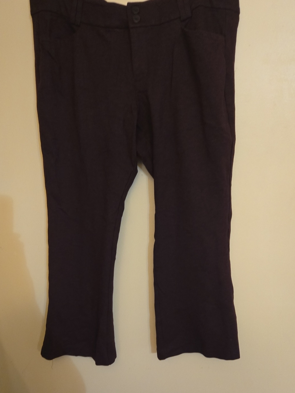 Torrid Purple Straight Leg  Pants